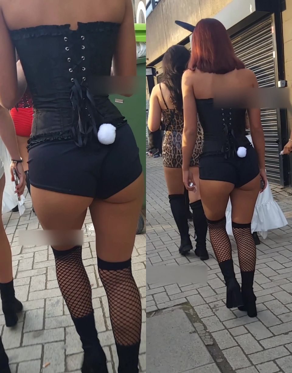 Bunnies everywhere